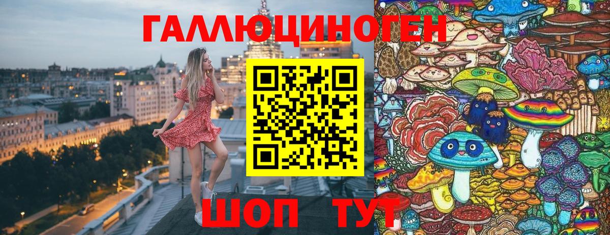 Георгиевск  Псилоцибиновые грибы мухоморы  Вход с VPN 
